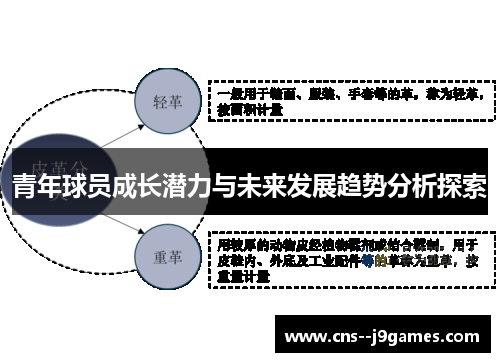 青年球员成长潜力与未来发展趋势分析探索